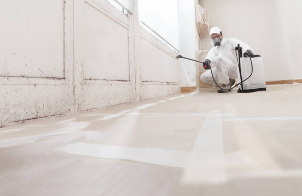 24/7 Emergency Black Mold Remediation experts in Pope Army Airfield, NC